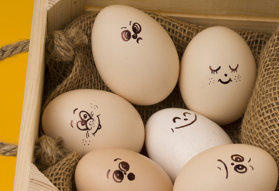 Diversificação vai além de 'distribuir os ovos' em mais de uma cesta, dizem gestores