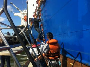 Brasil Export e o simbolismo das grandes navegações