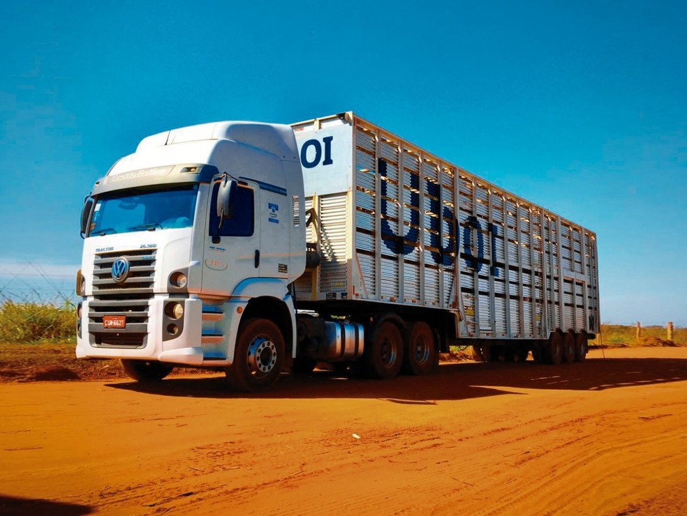 Empresa desenvolve 'Uber' para transporte de gado no país