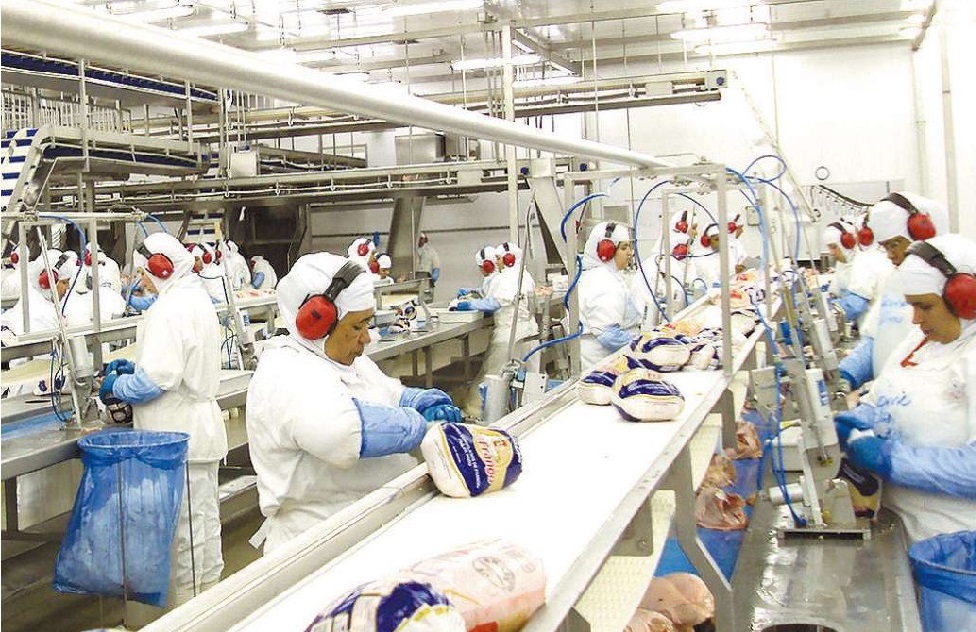 Governo pede dados à China sobre frango