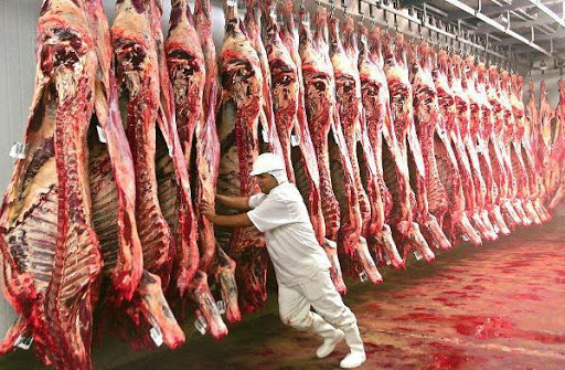 Exportação de carne bovina tem melhor julho da história
