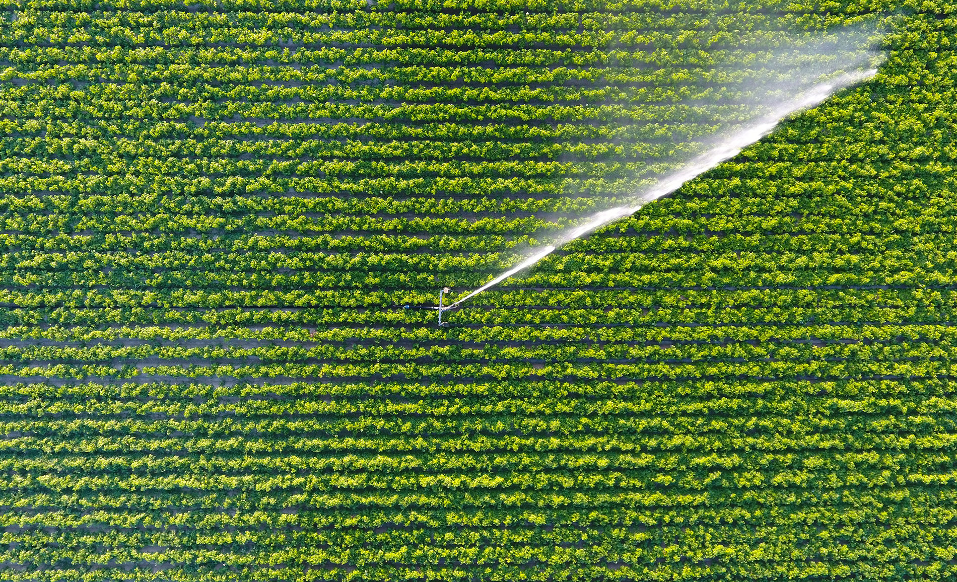 Como as novas metas de água baseadas na ciência da Cargill acompanham o fluxo