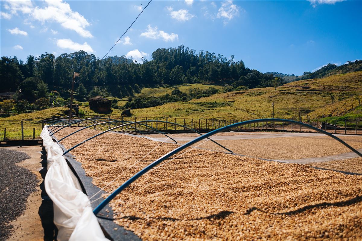 Agronegócio questiona reforma tributária proposta pelo Governo
