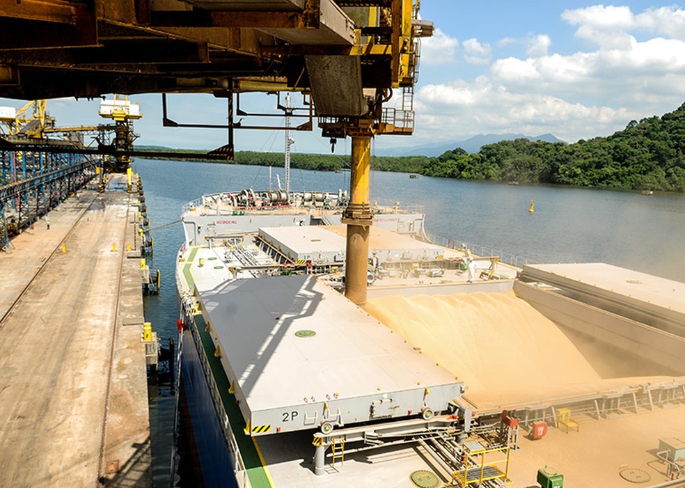 Exportações de soja devem somar 80 milhões de toneladas em 2020