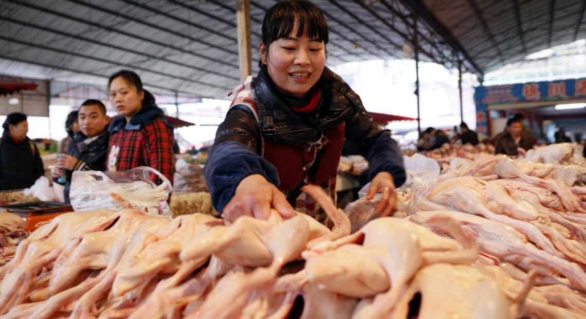 Exportação de frango cai, mas Ásia e Egito compram mais