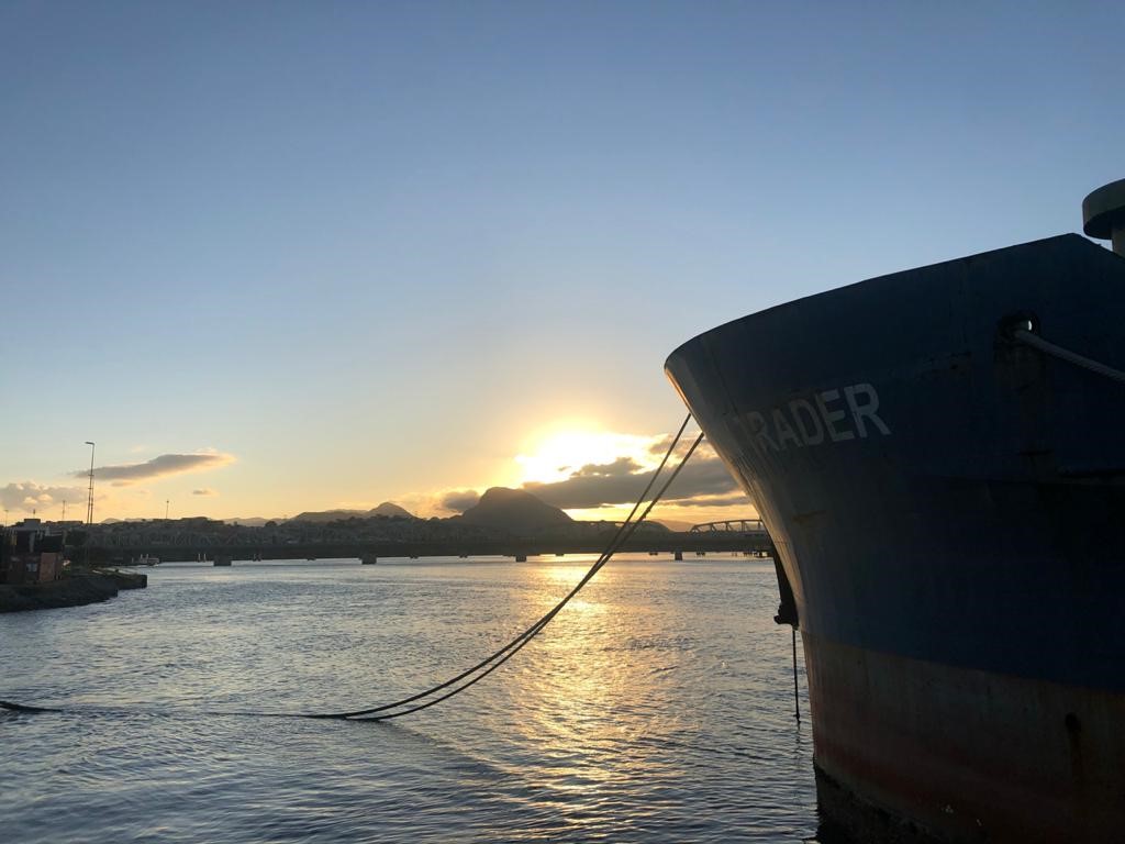 Navio Iron Trader é leiloado e deixará o Porto