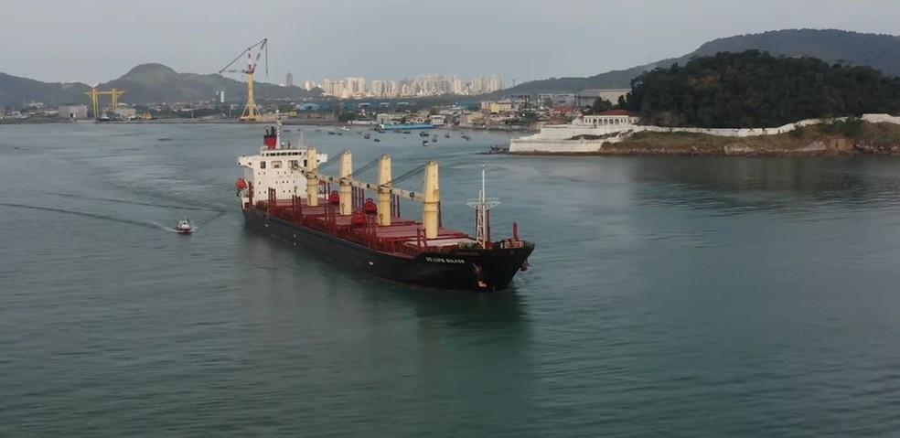 Tripulantes não estão com covid-19