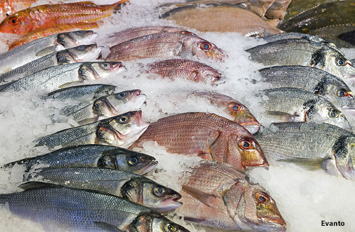 Abertura de mercado: China habilita mais três plantas brasileiras para exportação de pescado
