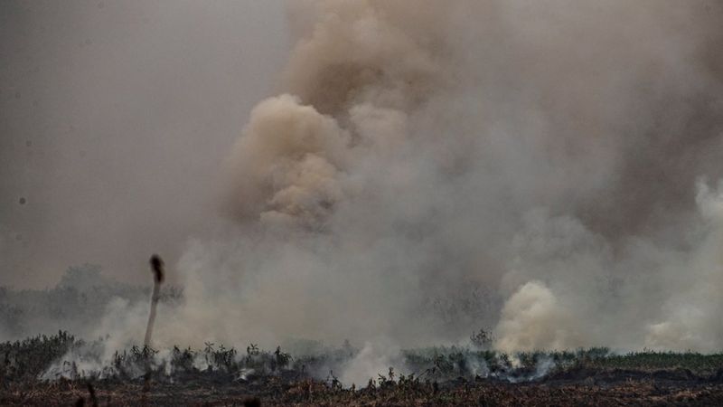 Chuva preta e dias escuros: como queimadas no Pantanal e Amazônia podem afetar outras regiões