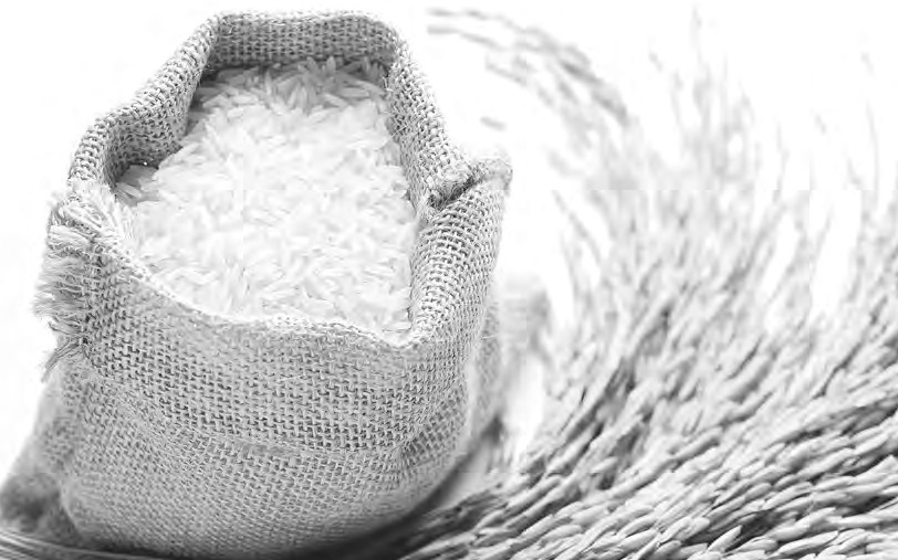 Governo sabia desde janeiro que faltaria arroz; mesmo assim, exportação cresceu 48%