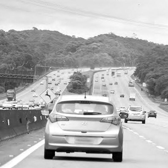Ecovias realiza obras de revitalização com bloqueio na Serra da via Anchieta