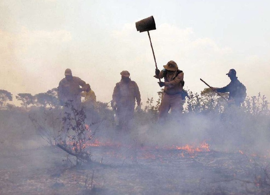 Qual o plano para salvar o Pantanal?