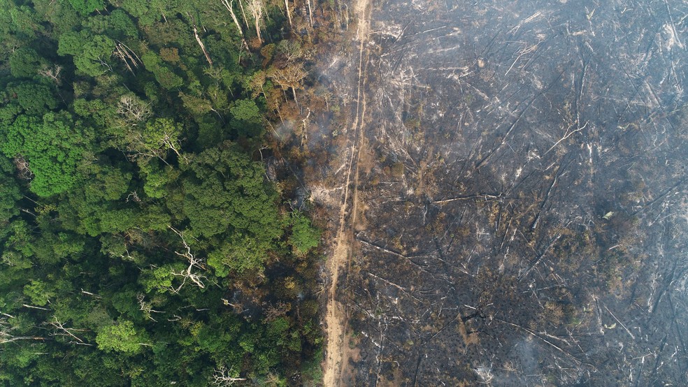 Países europeus que protestam contra desmatamento no Brasil compraram mais de US$ 6 bilhões do agro brasileiro no ano