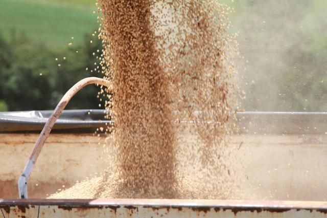 Bunge fecha parceria com Orbia para negociação digital de grãos