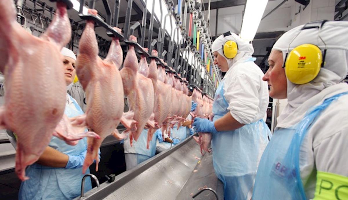 Filipinas retiram embargo sobre a carne de frango brasileira