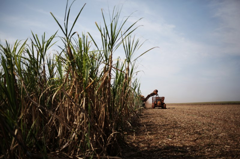 Etanol dos EUA sem tarifa pressiona mercado brasileiro