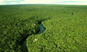 Agronegócio, Amazônia e desenvolvimento 