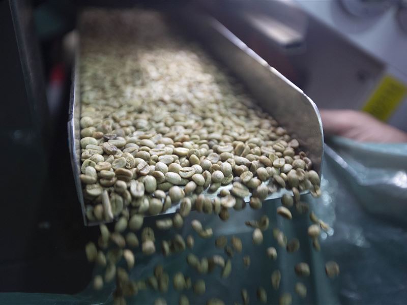 Cecafé divulga que 17% dos cafés brasileiros exportados são especiais