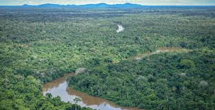 JBS lança programa “Juntos pela Amazônia”