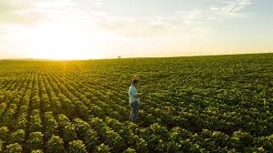 Cargill faz parceria com Aiba para criar projetos de agricultura sustentável na Bahia