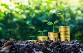 Marcelo Sammarco: Green Bonds e infraestrutura portuária