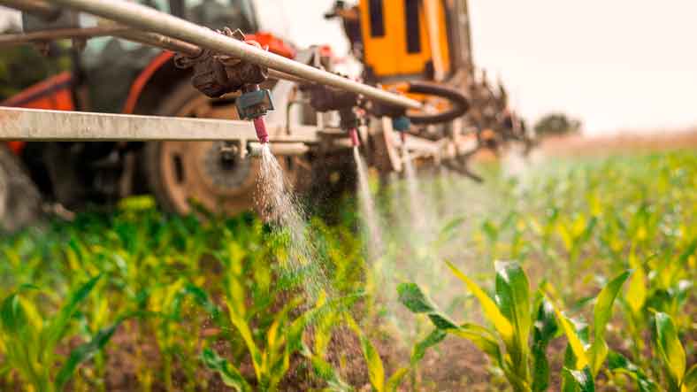 Brasil amplia liderança no ranking mundial de superávits agrícolas