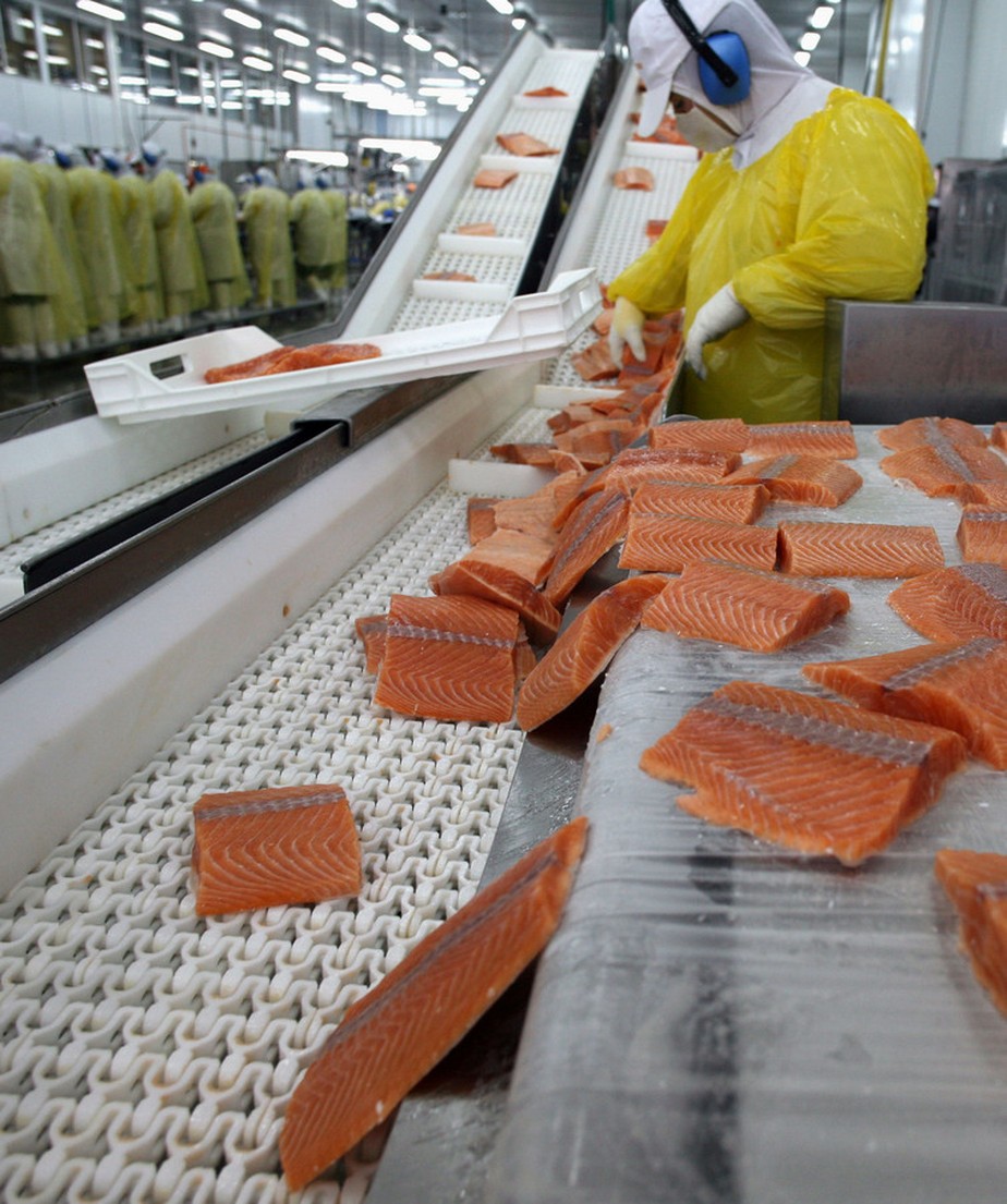 Coronavírus pode sobreviver por uma semana em salmão, diz estudo chinês