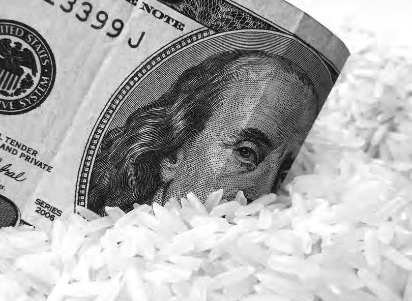 Disparada do dólar anula efeito da isenção de taxas e arroz bate novo recorde