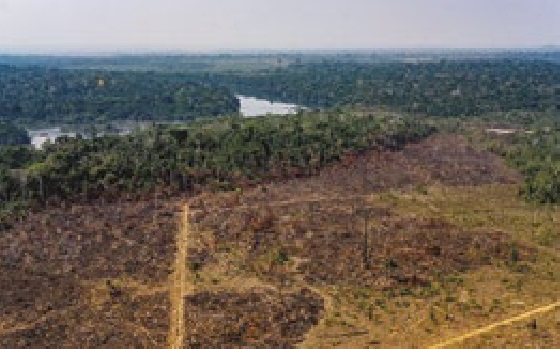 Em 18 anos, Amazônia perde área equivalente a São Paulo