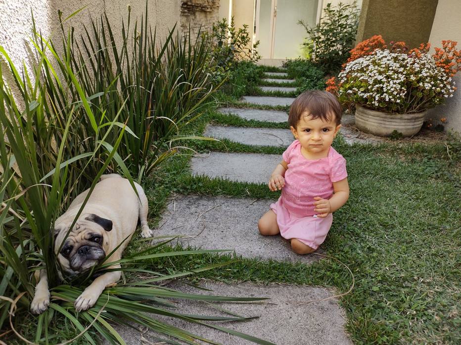Calor recorde pede mais atenção e cuidados com idosos, crianças e pets