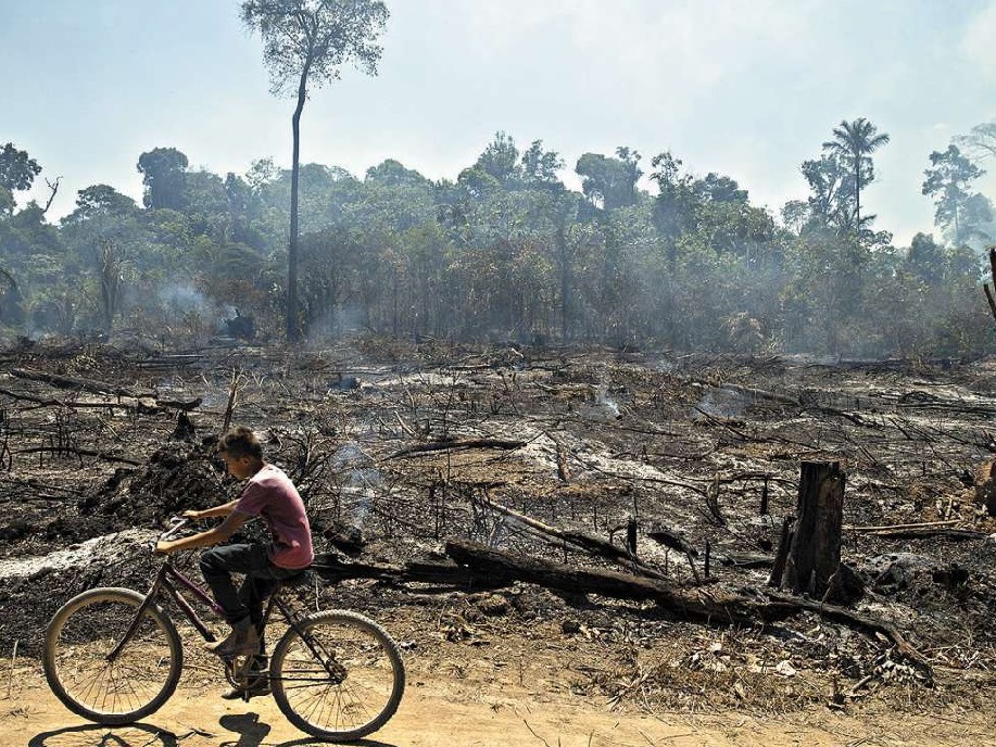 Desmate cai na Amazônia e queimadas aumentam