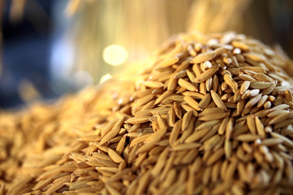 Governo prevê nova safra recorde de grãos, mas estima queda na produção de arroz e feijão