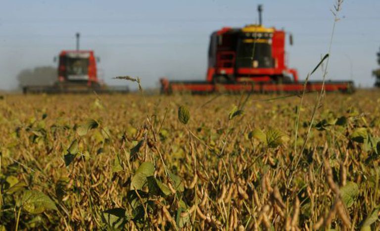 Camex decidirá na sexta-feira se vai zerar tarifa para a importação de soja de fora do Mercosul