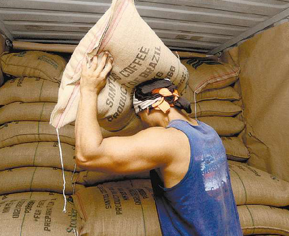 Cresce exportação de café por Santos