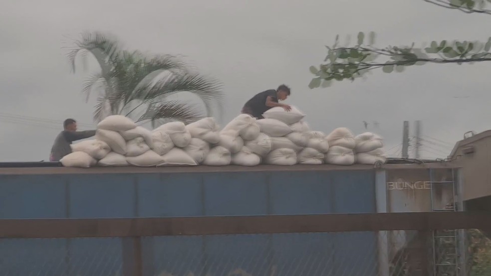 Ladrões fazem furto 'de cinema' e levam carga de trem em movimento no litoral de SP