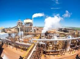 Usinas dão prioridade à fabricação de açúcar