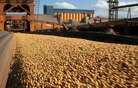 Países discutem restrições a exportações na OMC