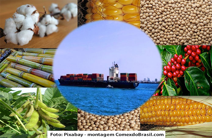 Soja sai de cena e açúcar impulsiona exportações do agronegócio que somam US$ 8,56 bilhões em setembro