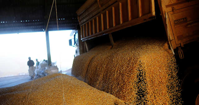 Preço da soja em Paranaguá bate recorde de 2012, aponta Cepea