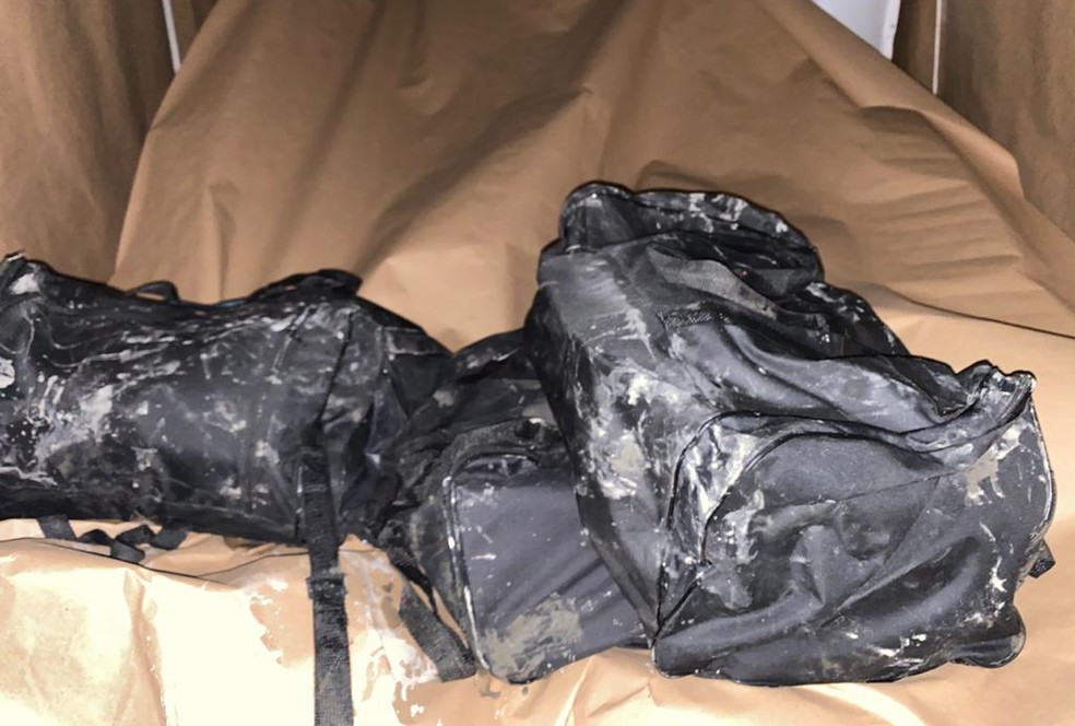 Receita Federal localiza 71 kg de cocaína escondidos em carga de café no Porto de Santos, SP