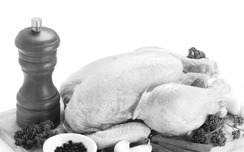 Dólar começa a inviabilizar produção de carne, ovos e indústria de óleos no País