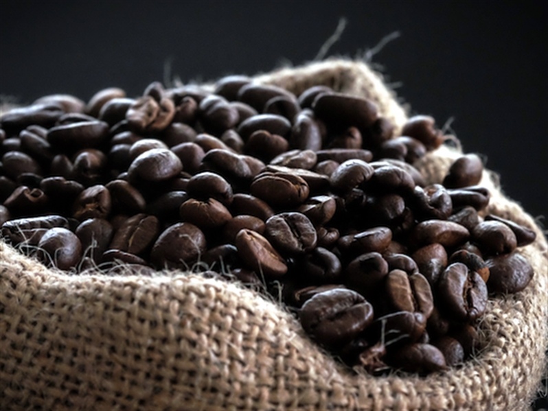 MSC lança campanha para exportar café da América Latina para os principais centros consumidores do mundo
