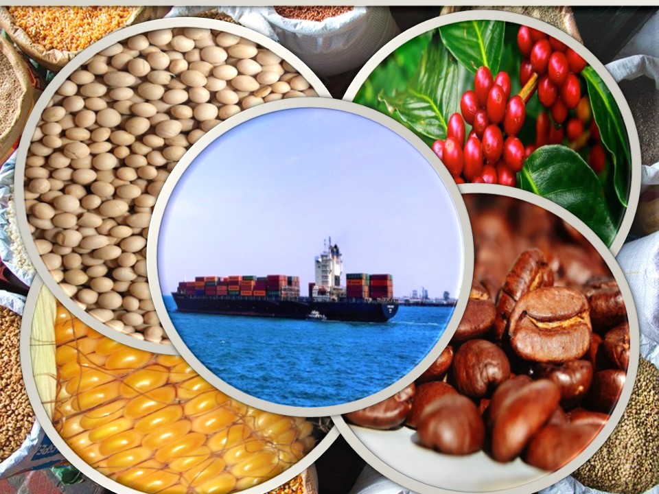 Brasil conquista 100 novos mercados externos para produtos agropecuários em 30 países