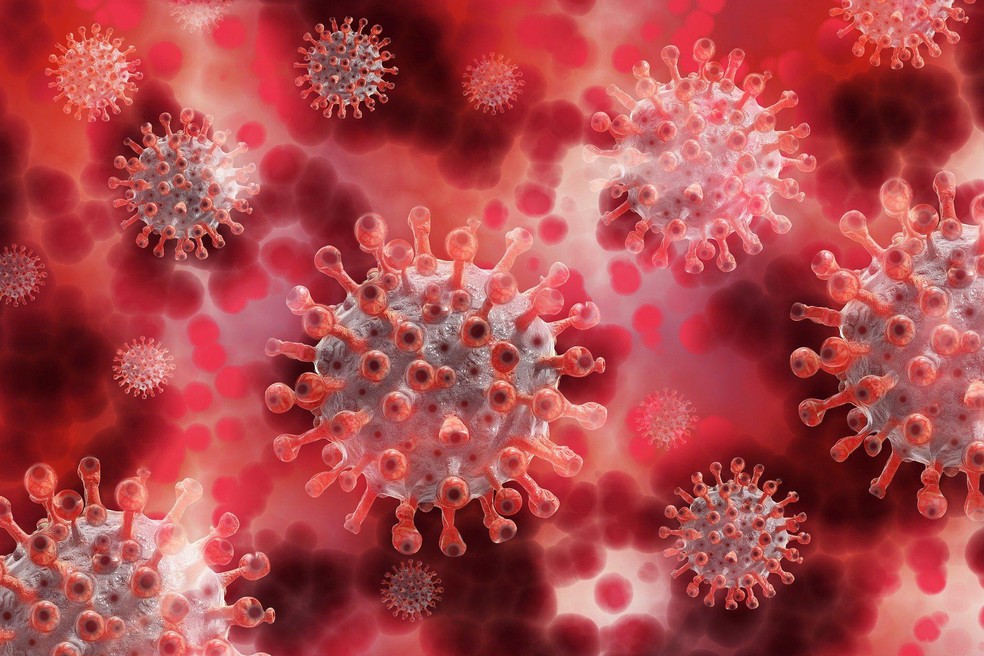 Autoridades chinesas detectam covid-19 em carne de porco importada do Brasil