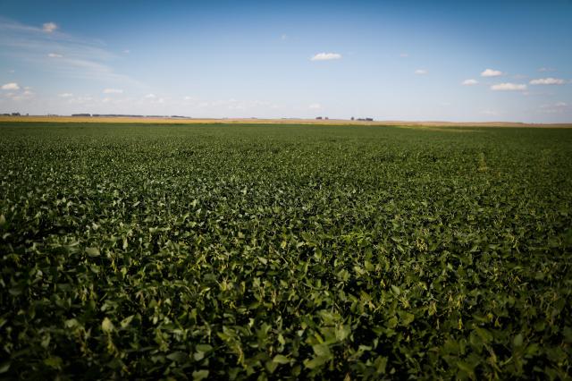 Aposta dos agricultores na digitalização cresceu mais no Brasil do que nos EUA na pandemia