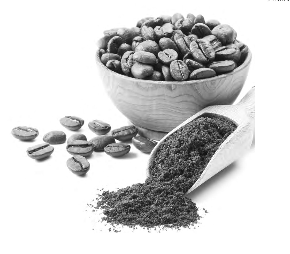 Premiado – Café das montanhas do Espírito Santo é eleito o melhor do Brasil e do mundo