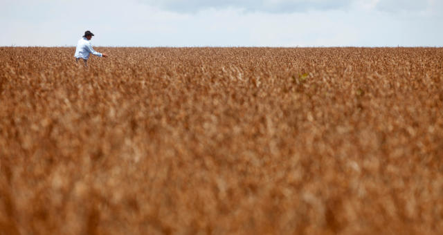 Plantio de soja no Brasil chega a 1 milhão de hectares por dia e quase recupera atraso