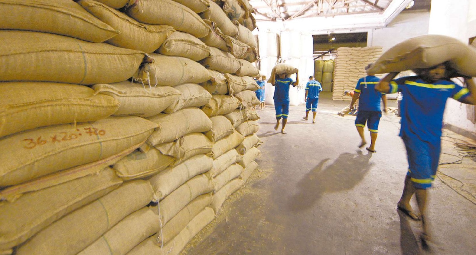 Porto bate recorde na exportação de café