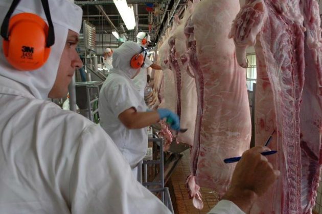 Exportação de carne suína de Santa Catarina atinge marca histórica de US$ 1 bi no ano