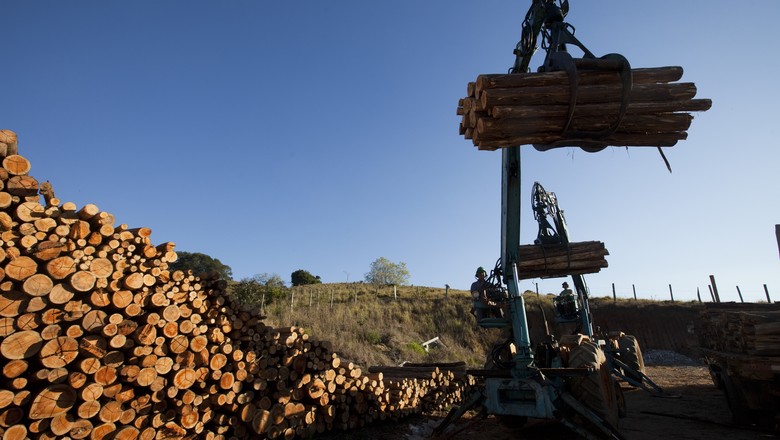 Suzano reajusta celulose na Europa e na América do Norte, dizem fontes